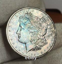 1896 P Morgan Silver Dollar Pastel Rainbow Toned UNC Coin High MS Grade No Marks