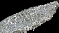Rare High Grade Dendritic Silver Ore Siscoe Mine, Nicol Township, Gowganda 19cm