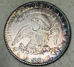 1819 Demi-dollar Buste Coiffé 50C Argent de Haute Qualité Pièce CHOIX CC21718